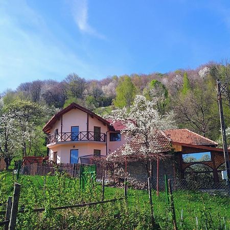 La Cascada Sipot Villa Merisor Ngoại thất bức ảnh