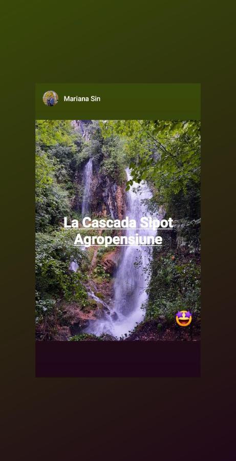 La Cascada Sipot Villa Merisor Ngoại thất bức ảnh