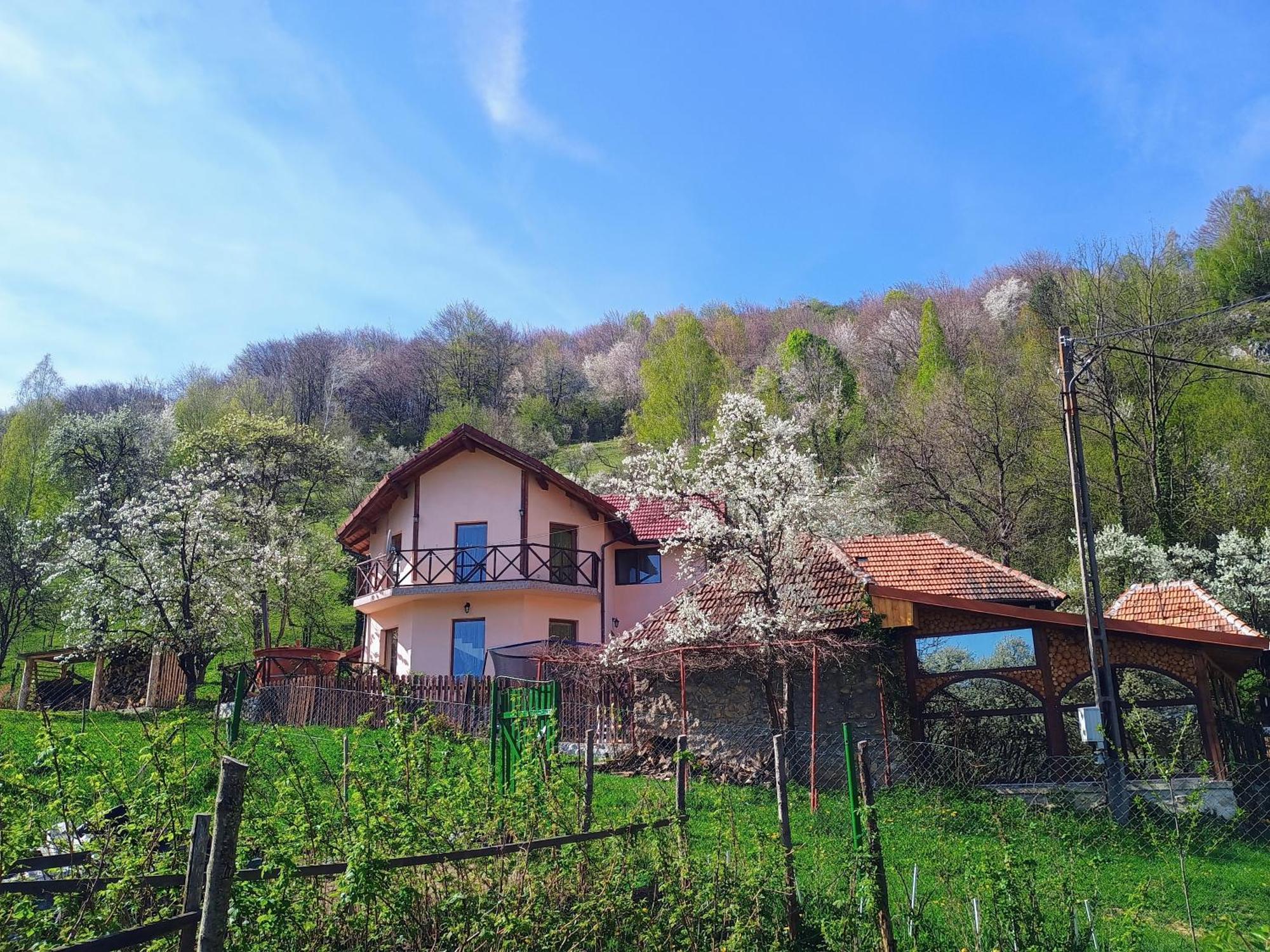 La Cascada Sipot Villa Merisor Ngoại thất bức ảnh
