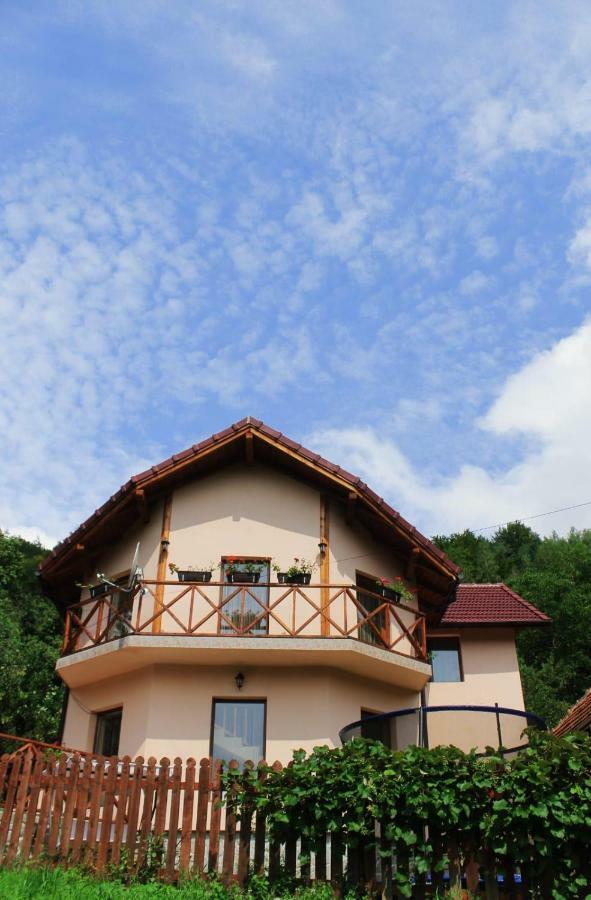 La Cascada Sipot Villa Merisor Ngoại thất bức ảnh